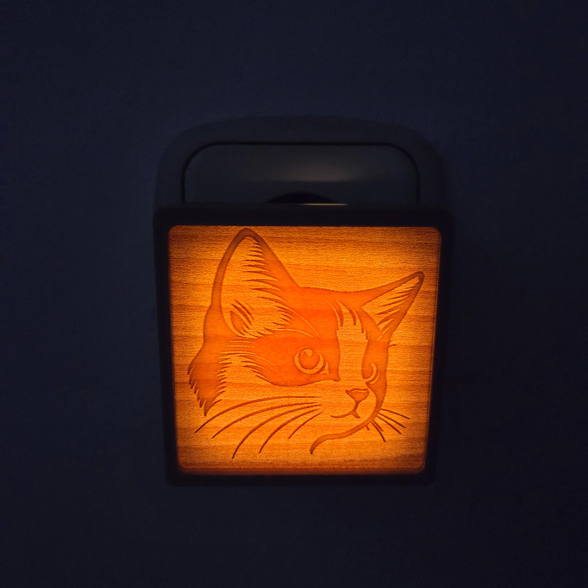 Nachtlicht Holz Ahorn – Katze